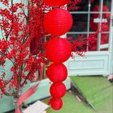  Lồng Đèn Vải 