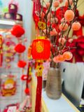  Lồng Đèn Pin 