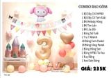  Set Trang Trí Sinh Nhật TN 38 