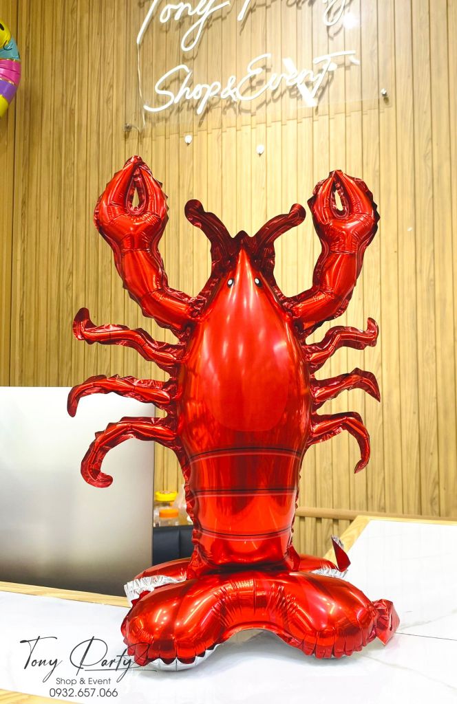  Bóng Hình Tôm Hùm Alaka 