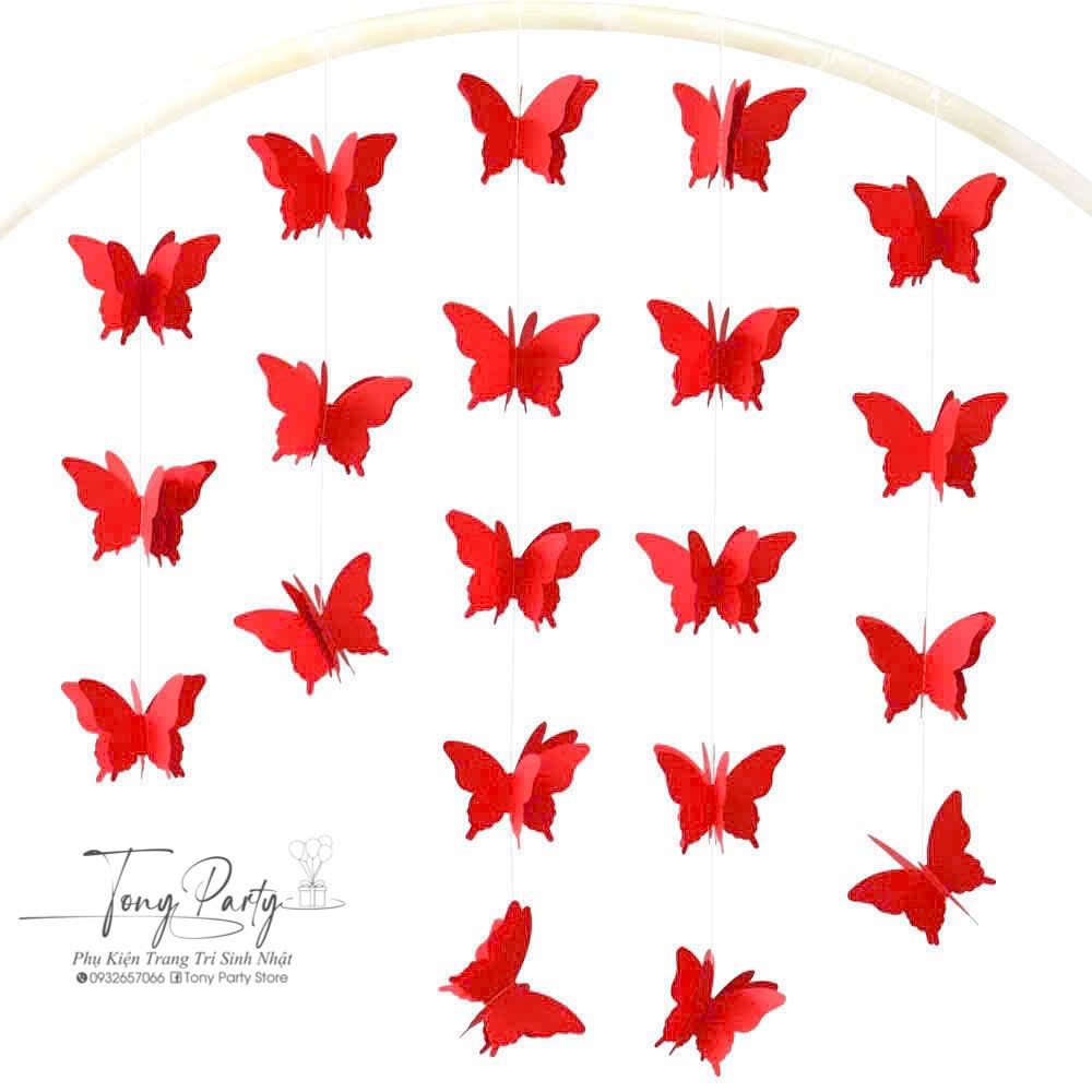  Set Dây Bướm 