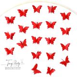  Set Dây Bướm 