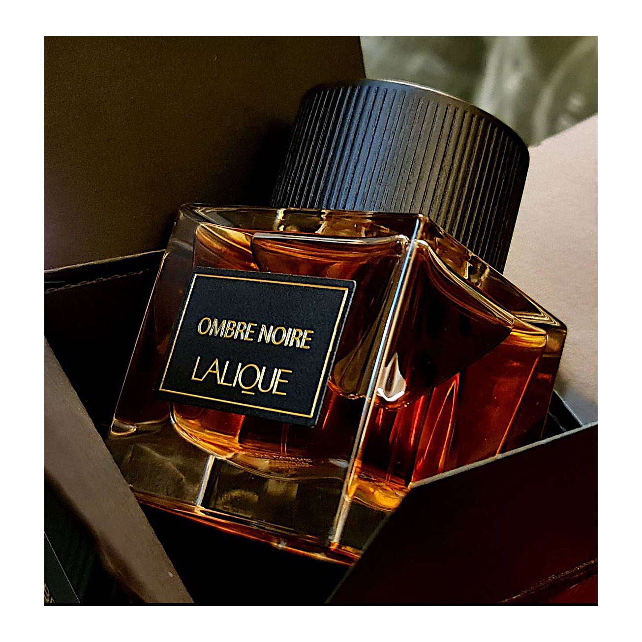 Nước Hoa Nam Lalique Ombre Noire Eau de Parfum – Sahara Perfume