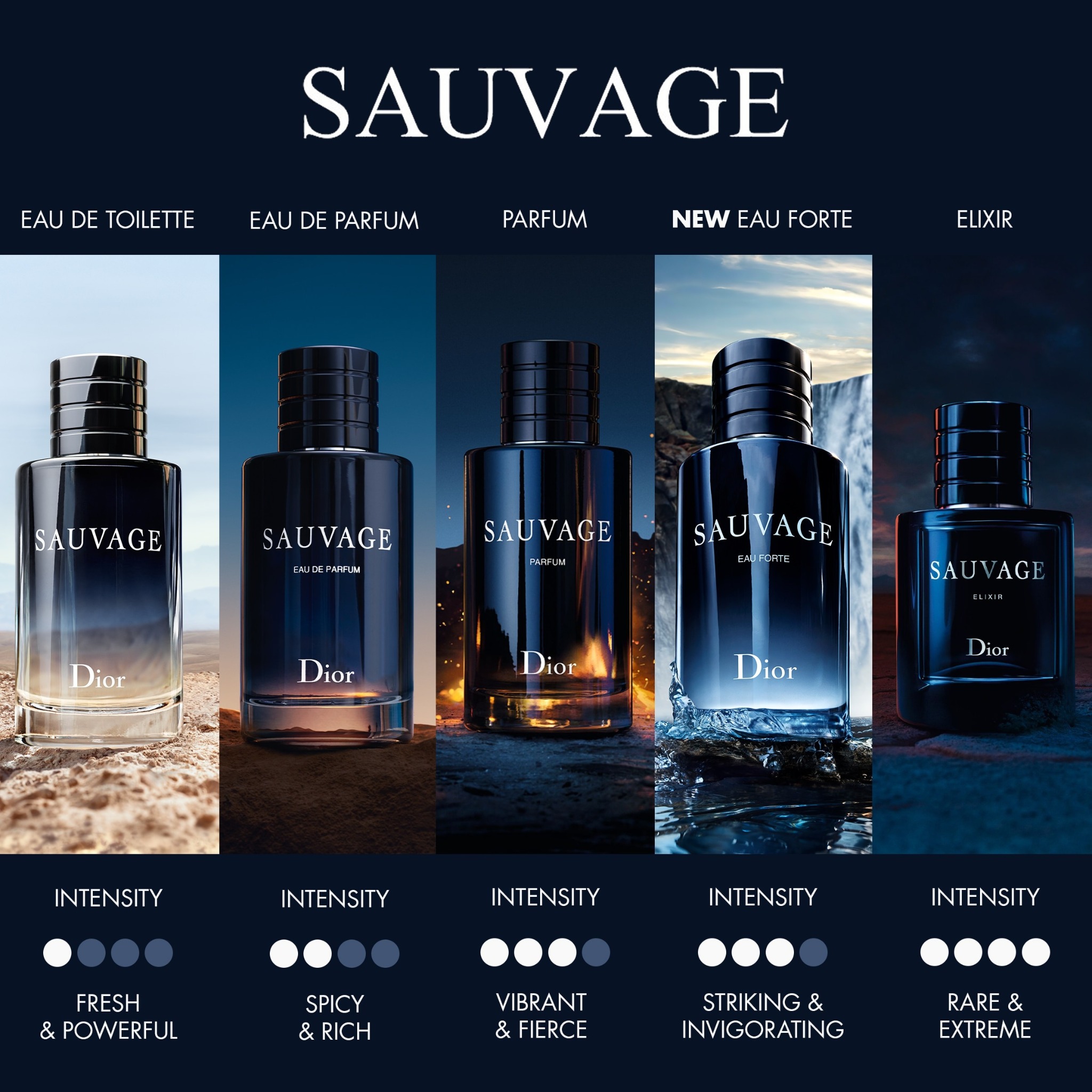 FULL BOX Sauvage EDP 100ml Nước hoa nam Dior Sahara Perfume