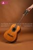 DKK1003 Đàn Guitar 