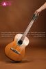  DKK1003 Đàn Guitar 