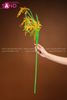  DKK0303 Cây Lúa 