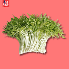 RAU MẦM