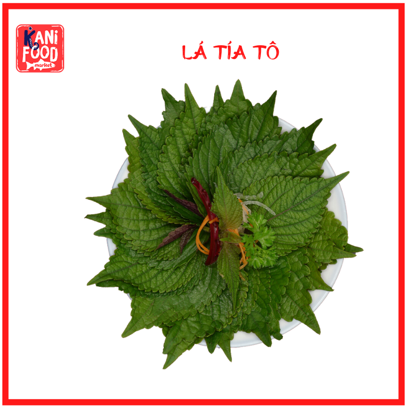 LÁ TÍA TÔ