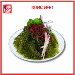 RONG NHO TƯƠI