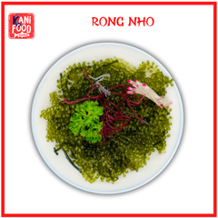 RONG NHO TƯƠI