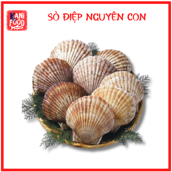 SÒ ĐIỆP NGUYÊN CON