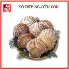 SÒ ĐIỆP NGUYÊN CON