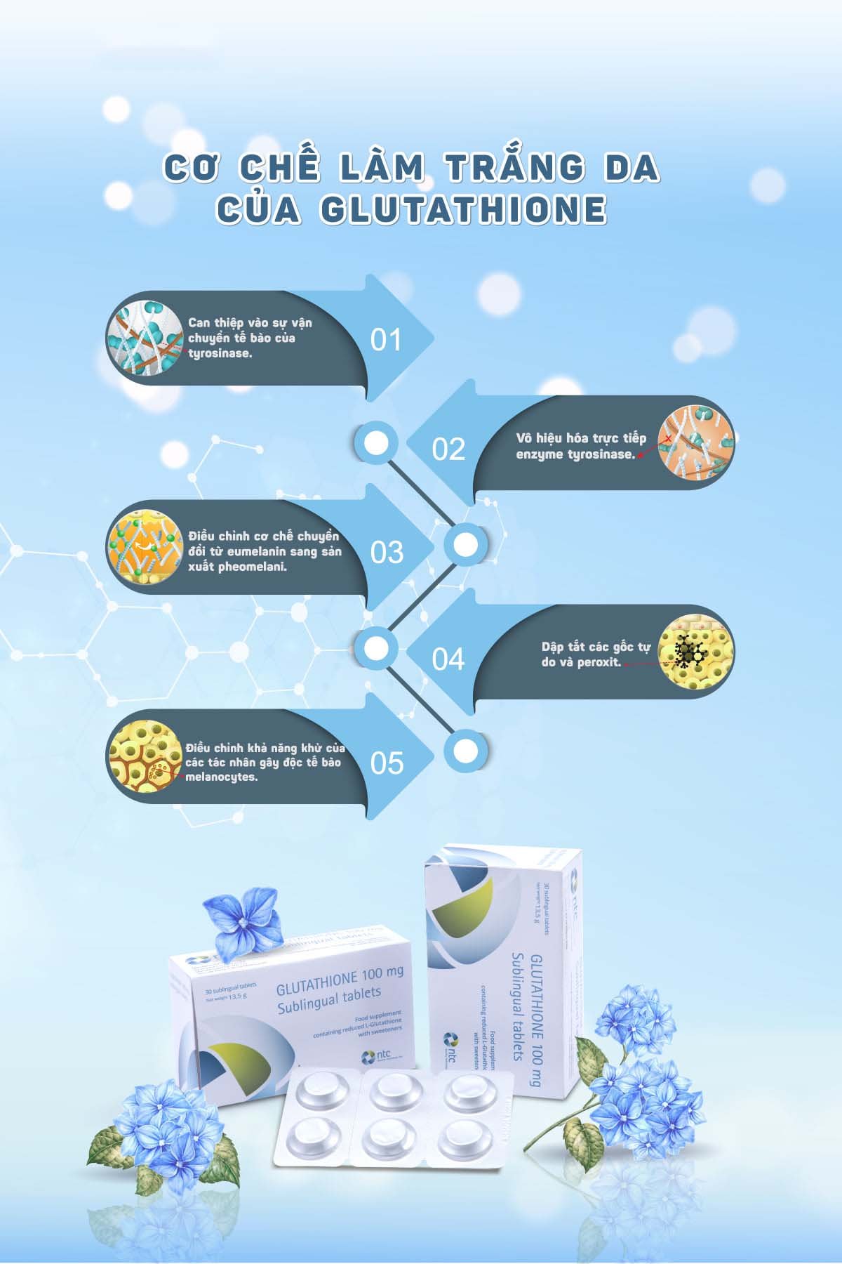 Viên Ngậm Trắng Da Glutathione 100mg Nhập Khẩu Từ Italy – hyphat.vn