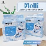  Lót Giấy Chống Thấm Molli 