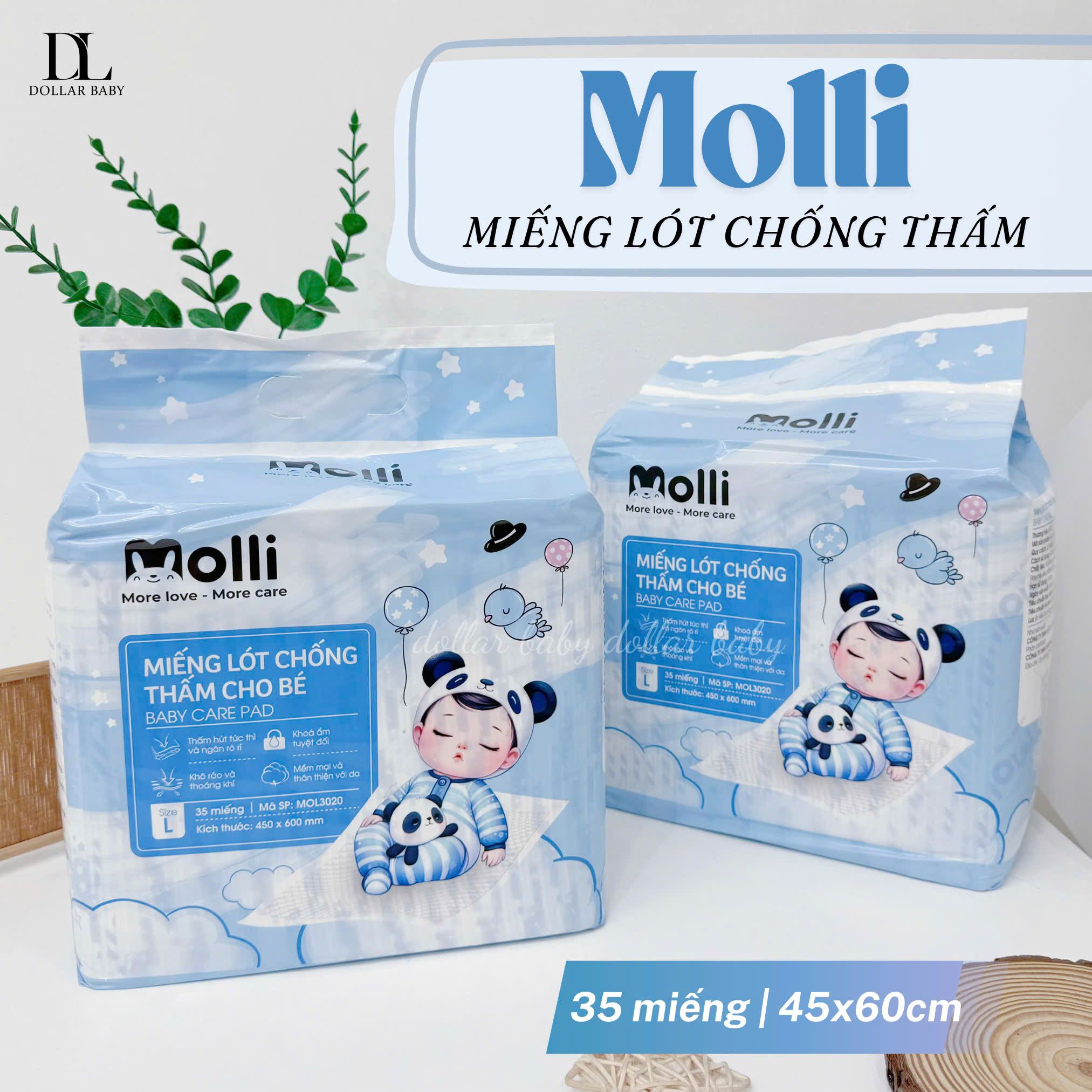  Lót Giấy Chống Thấm Molli 