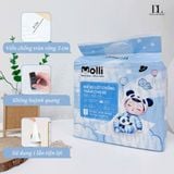  Lót Giấy Chống Thấm Molli 