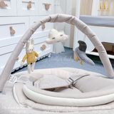  Nôi đưa NuNa Leaf Grow Bouncer 