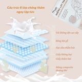  Miếng Lót Thấm Sữa Molli 