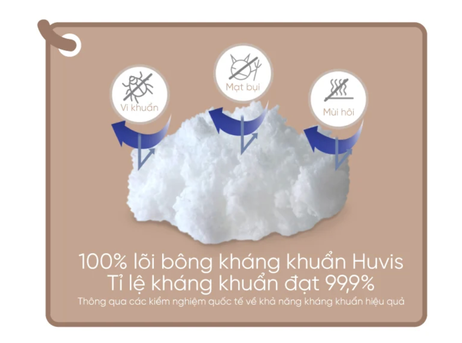  ELAVA - Gối Chống Trào Ngược C 