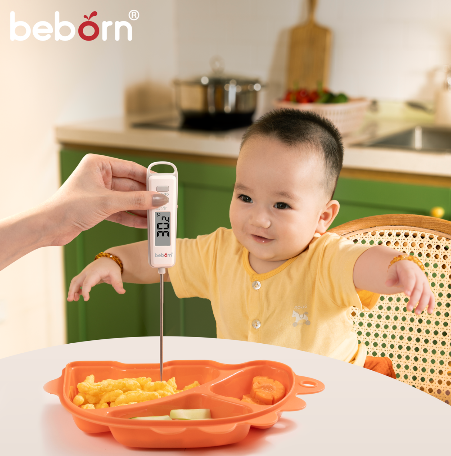  Nhiệt kế đo nước Beborn - Pronto 1 