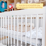  Cũi gỗ 4in1 GAP babyGap Tate 