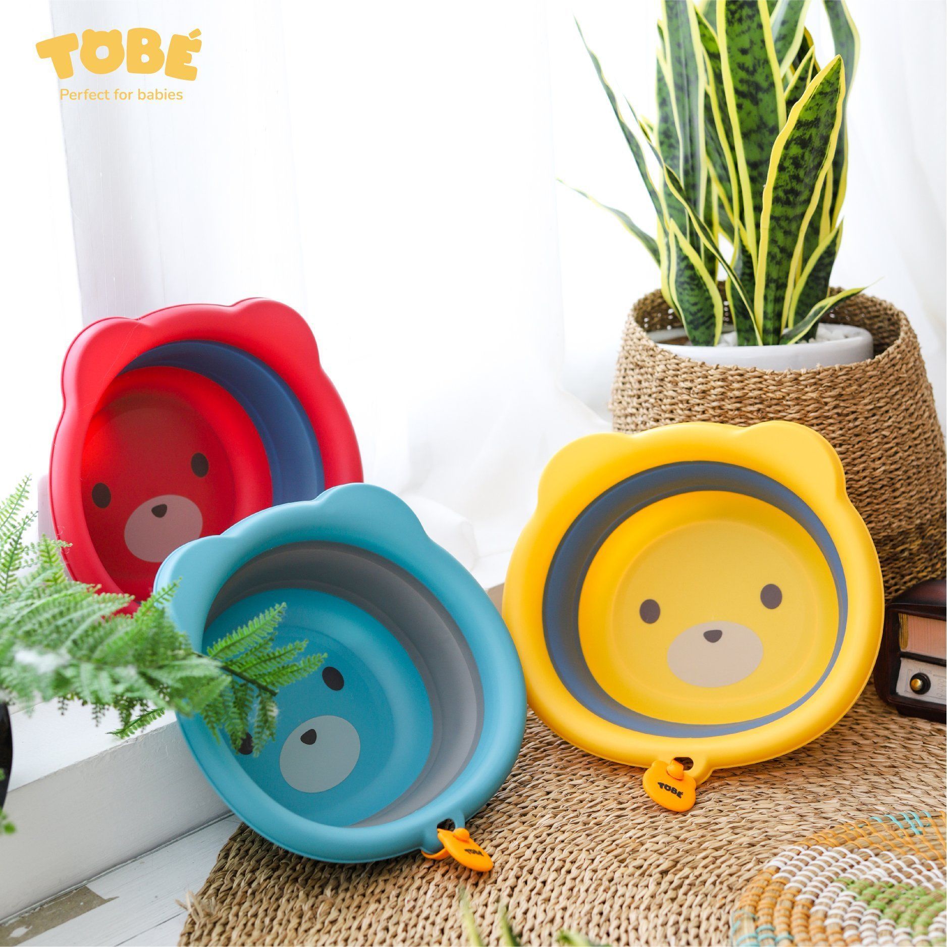  Chậu Rửa Mặt Gấu Tobe 