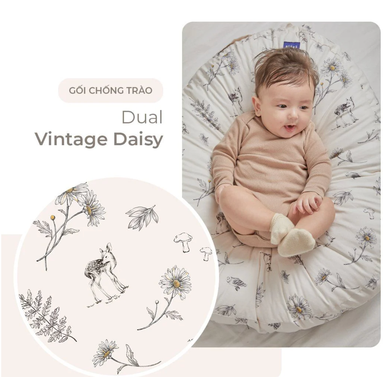  ELAVA - Vỏ Gối Chống Trào Ngược C 