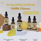  Siro Tăng Đề Kháng Cho Bé CHILDLIFE ECHINACEA - NATURAL ORANGE FLAVOR 