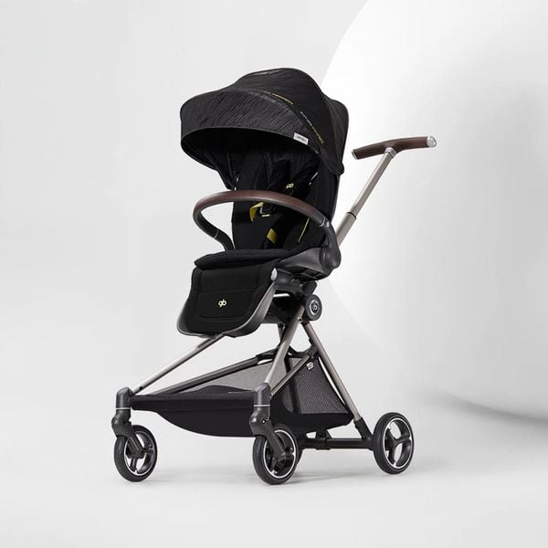  Xe đẩy 2 chiều gấp gọn GB Cruiser 