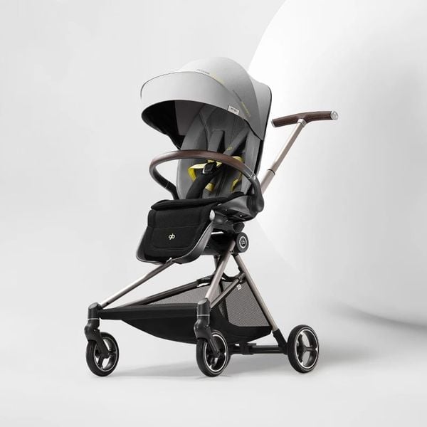  Xe đẩy 2 chiều gấp gọn GB Cruiser 