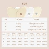  Nhộng Bamboo Dotori 