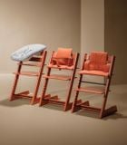  Ghế ăn dặm Stokke Tripp Trapp 