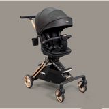  Xe Đẩy Able Cozy Shine 2024 