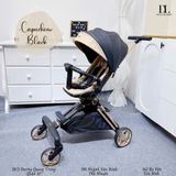  Xe Đẩy Able Cozy Shine 2024 