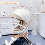  Xe Đẩy Able Cozy Shine 2024 