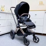  Xe đẩy 2 Chiều Cybex Priam 4 (Rosegold Frame) 