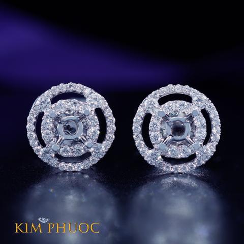 Earring AEM-319