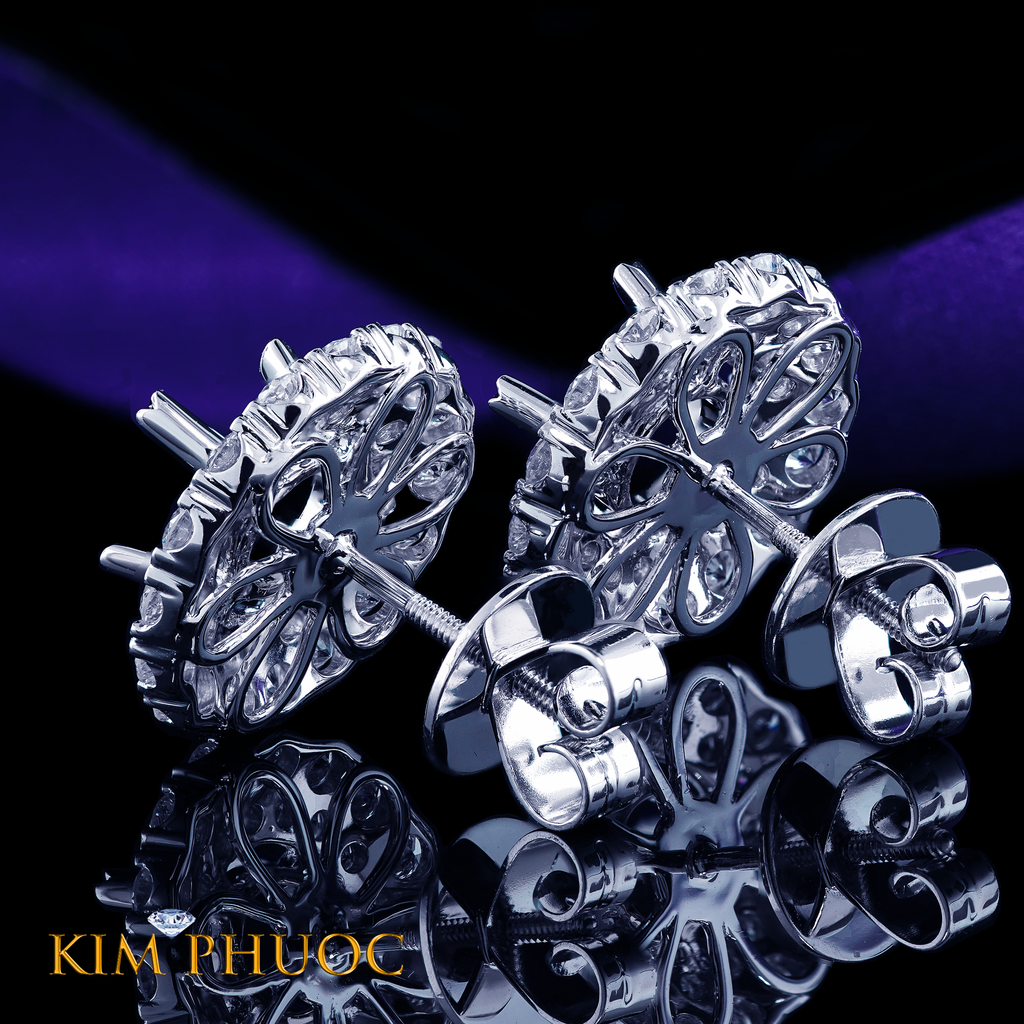 Earrings AEM453