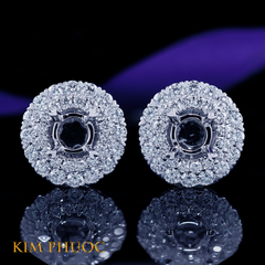 Earrings AEM453