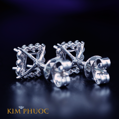 Earring AEM342