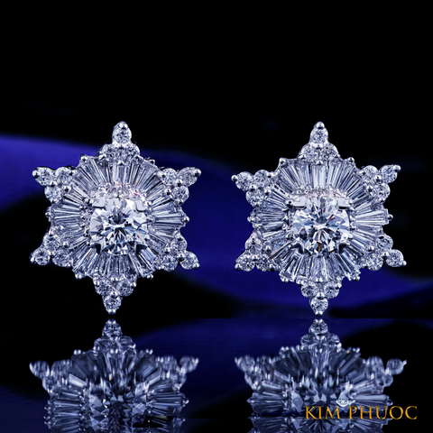 Earrings AEM135
