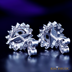 Earrings AEM234