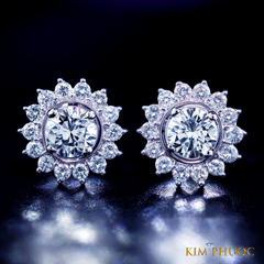 Earrings AEM234
