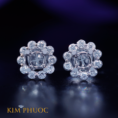 Earrings AEM238