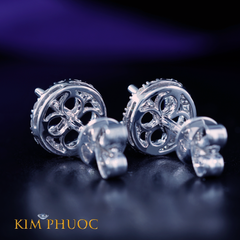 Earrings AEM268