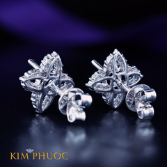 Earrings AEM334