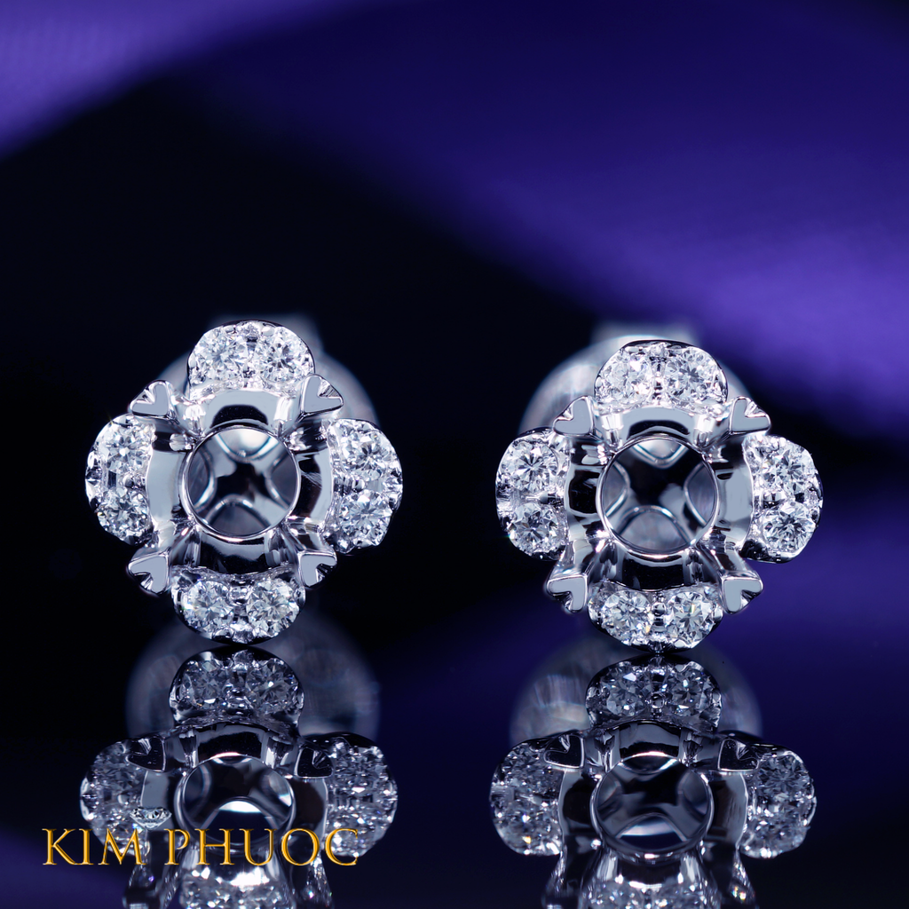 Earrings AEM364