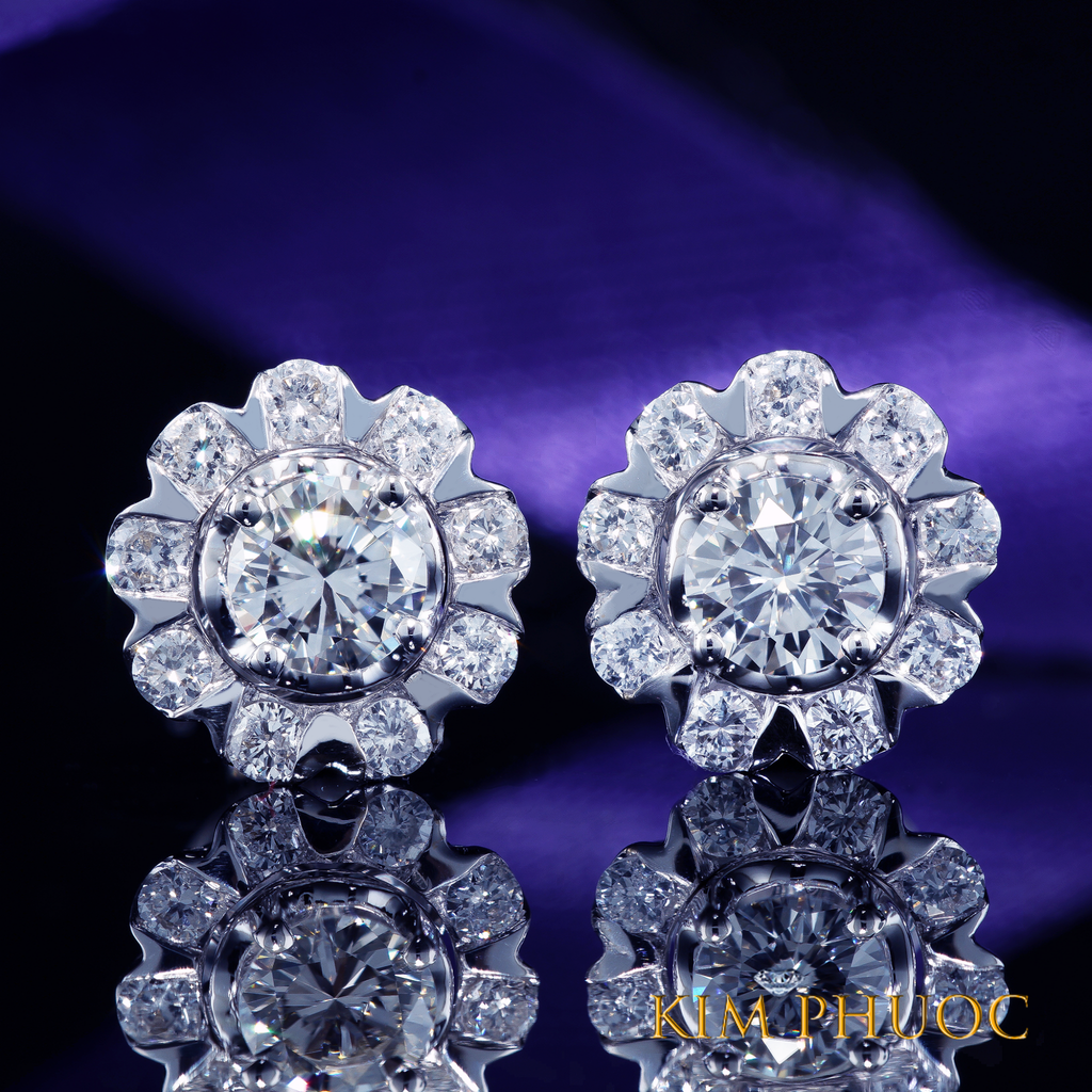 Earrings AEM380