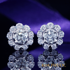 Earrings AEM380